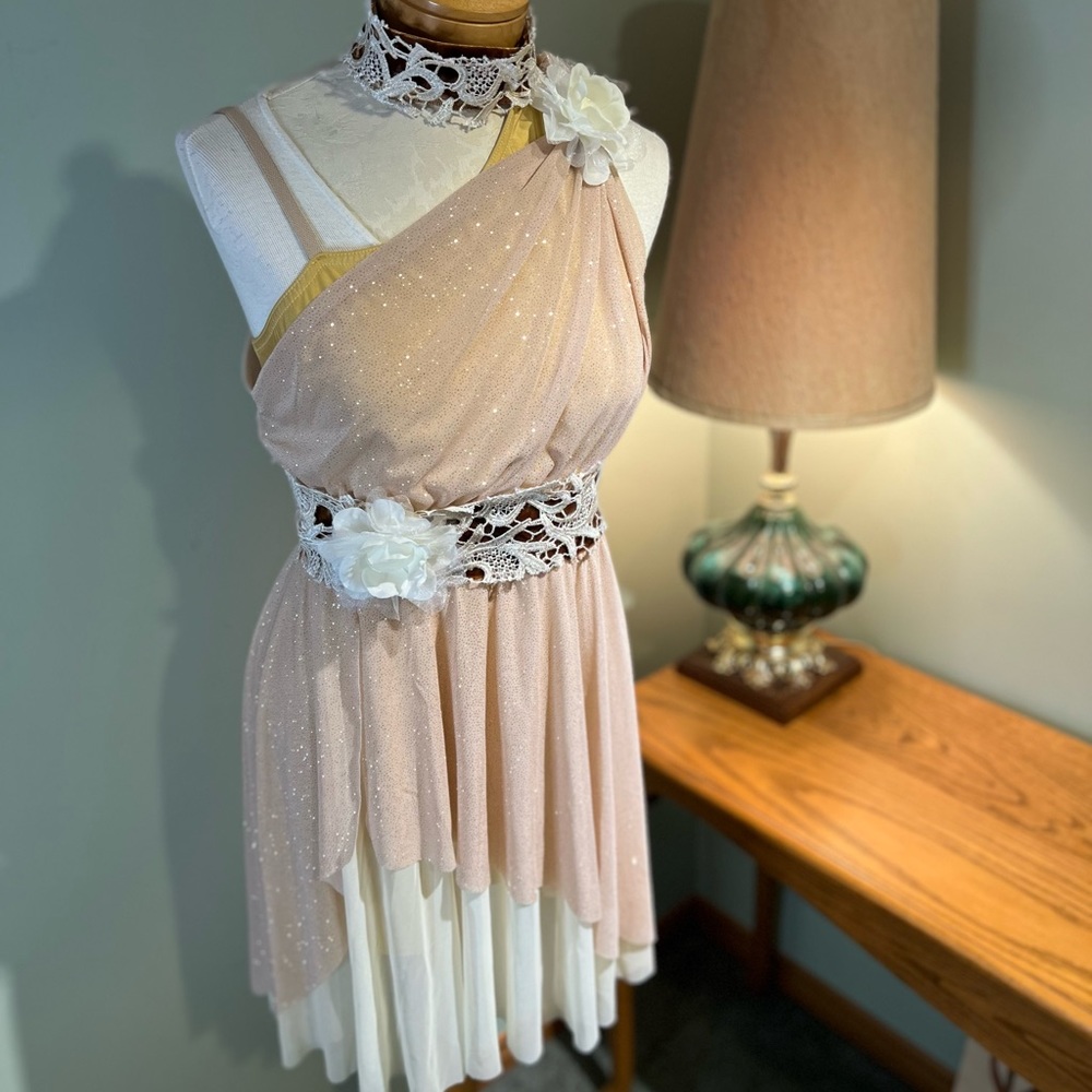 Formal Dress or Dance/Halloween Costume